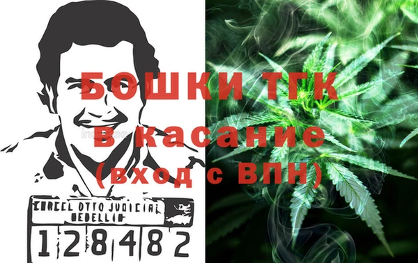 индика Магадан