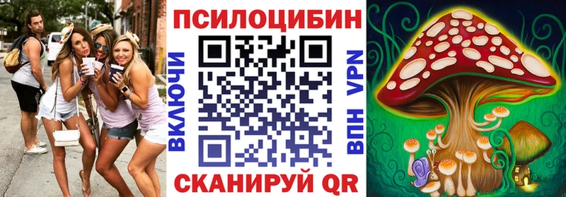 где купить наркоту  Аксай  Галлюциногенные грибы Psilocybine cubensis 